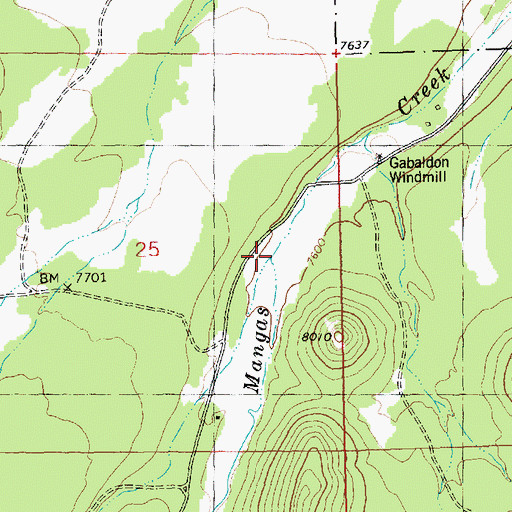 Topographic Map of San Antone Canyon, NM