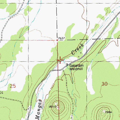 Topographic Map of Gabaldon Canyon, NM