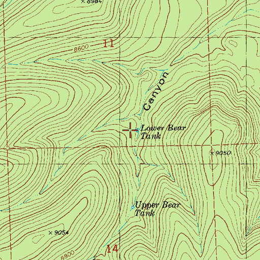 Topographic Map of Lower Bear Tank, NM