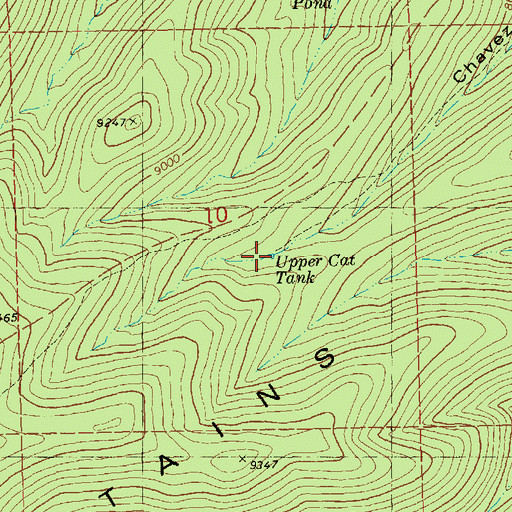 Topographic Map of Upper Cat Tank, NM
