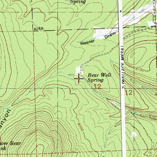 Topographic Map of Bear Well Spring, NM
