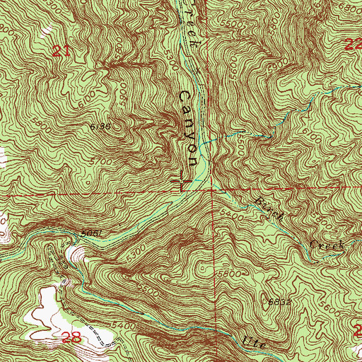Topographic Map of Birch Creek, CO
