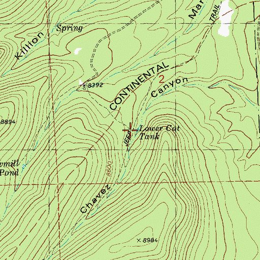 Topographic Map of Lower Cat Tank, NM