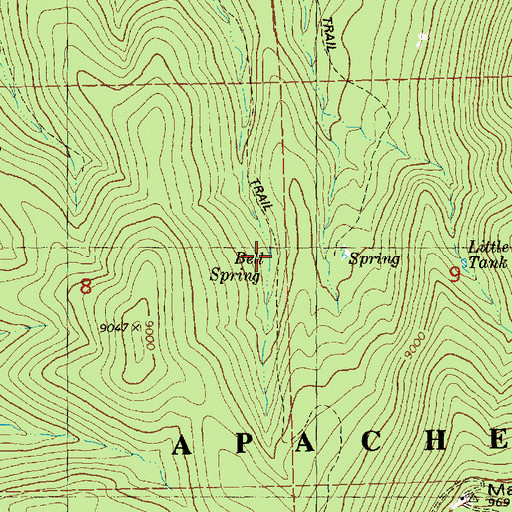 Topographic Map of Bell Spring, NM