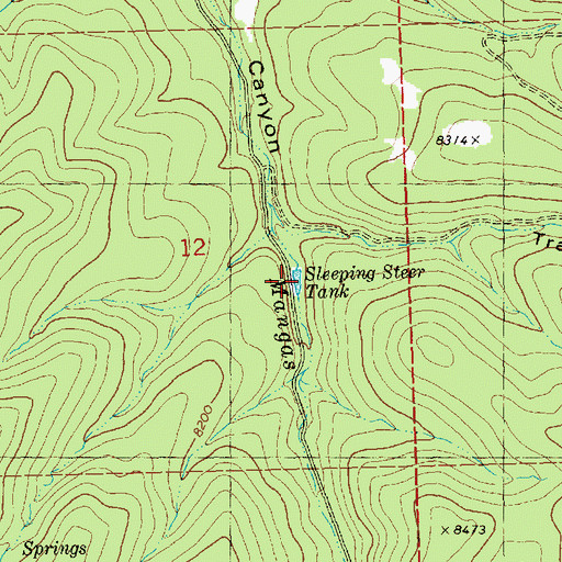 Topographic Map of Sleeping Steer Tank, NM