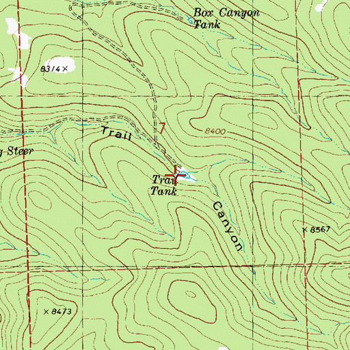 Topographic Map of Trail Tank, NM