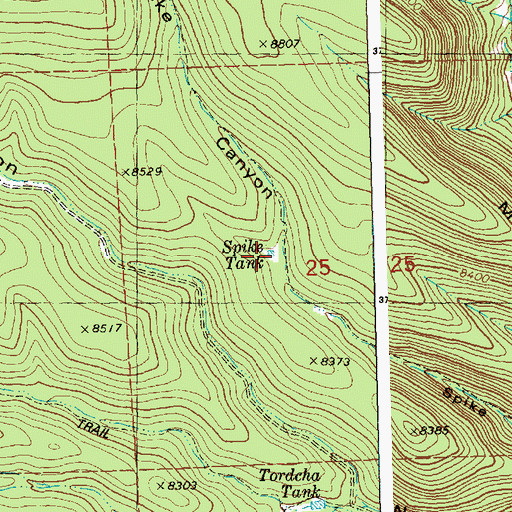 Topographic Map of Spike Tank, NM
