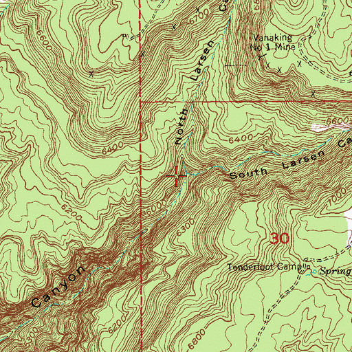 Topographic Map of South Larsen Canyon, CO
