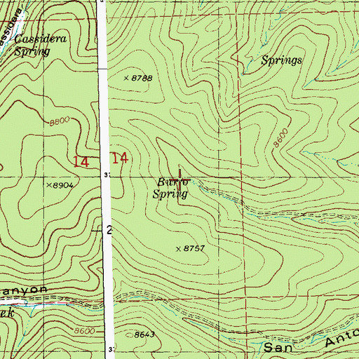 Topographic Map of Burro Spring, NM