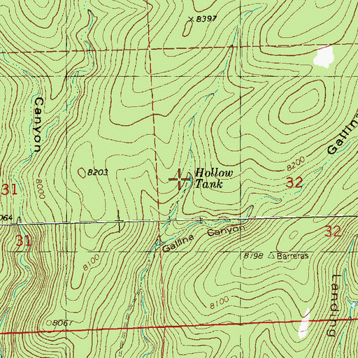 Topographic Map of Hollow Tank, NM