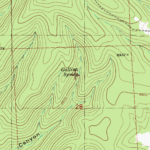 Topographic Map of Gallina Spring, NM