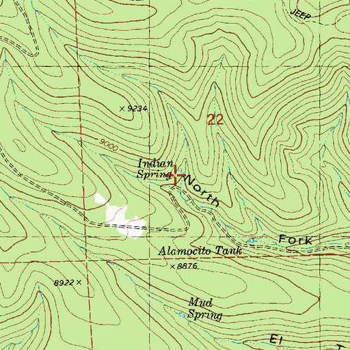 Topographic Map of Indian Spring, NM