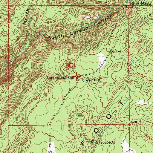 Topographic Map of Tenderfoot Camp, CO