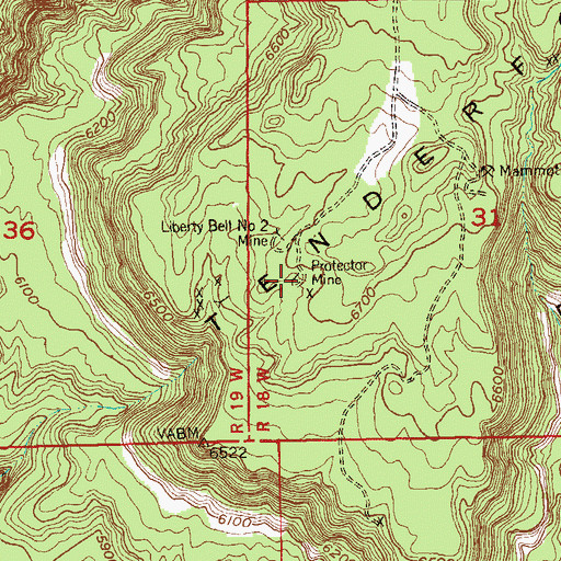 Topographic Map of Protector Mine, CO