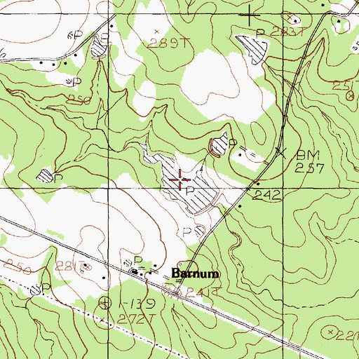 Topographic Map of Barnum Lake, TX