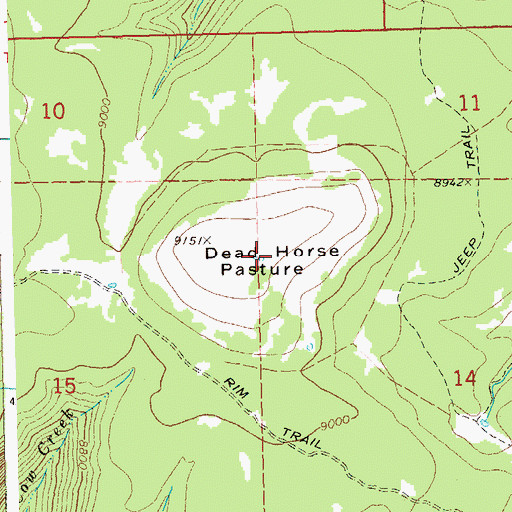 Topographic Map of Dead Horse Pasture, CO