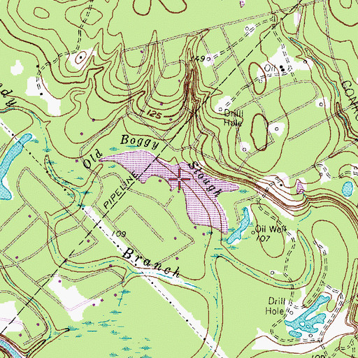 Topographic Map of Shadow Lake, TX