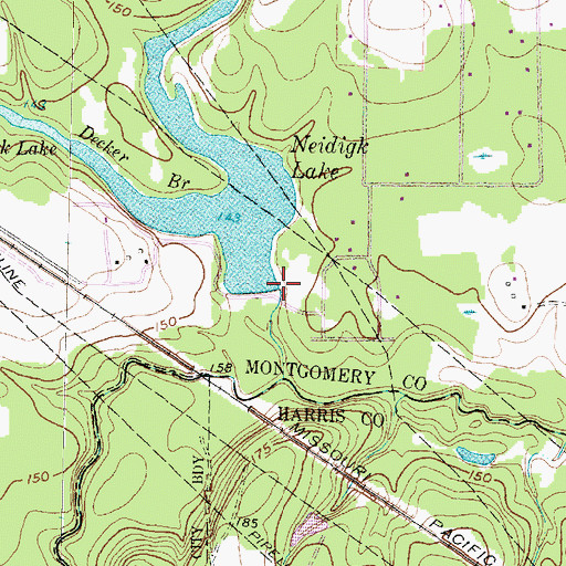 Topographic Map of Neidigk Lake Dam, TX