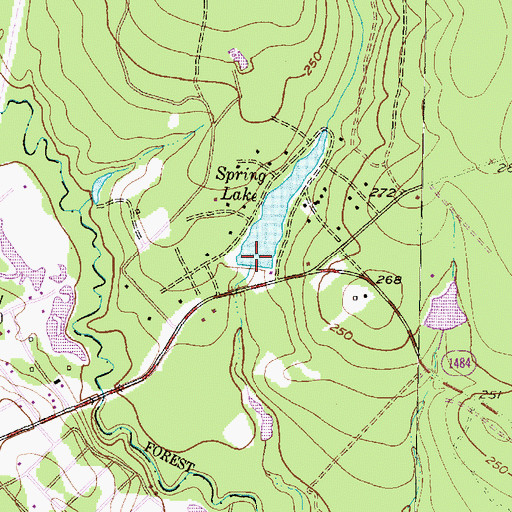 Topographic Map of Spring Lake Dam, TX