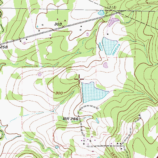Topographic Map of Fish Lake Dam, TX