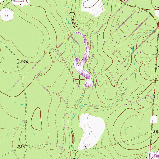 Topographic Map of McRae Dam, TX