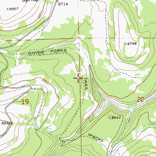 Topographic Map of Divide Forks Trail, CO