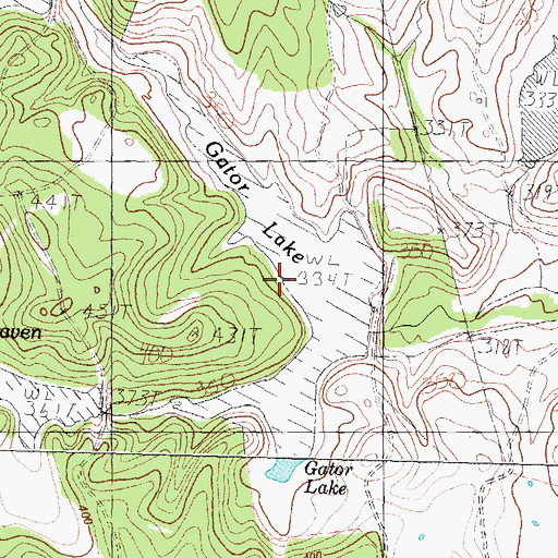 Topographic Map of Gator Lake, TX
