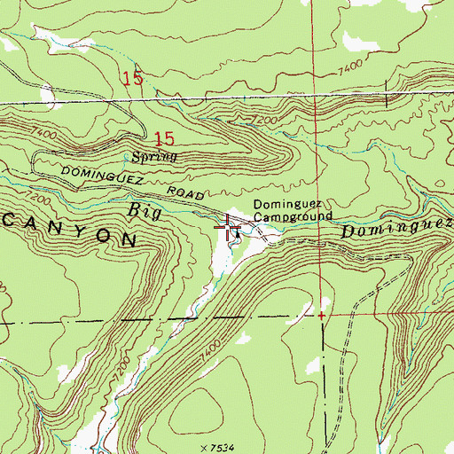Topographic Map of Dominguez Campground, CO