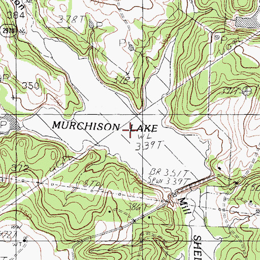 Topographic Map of Murchison Lake, TX