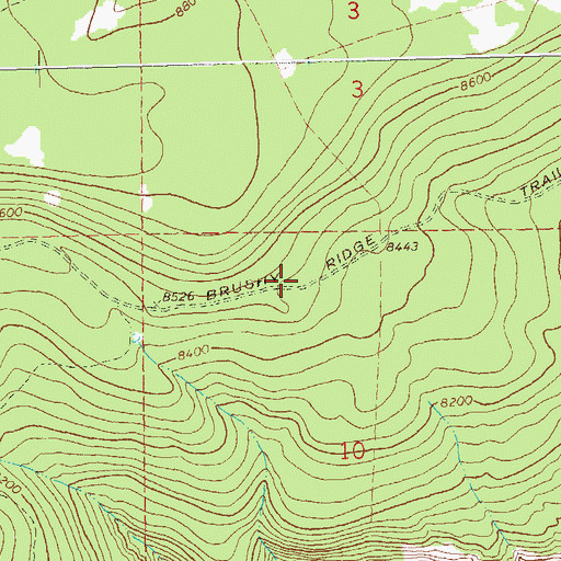 Topographic Map of Brushy Ridge Trail, CO