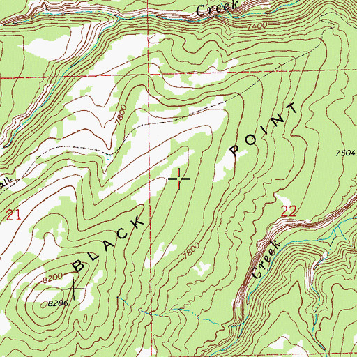 Topographic Map of Black Point, CO