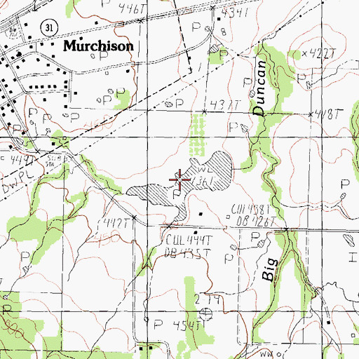 Topographic Map of Roberson Lake, TX