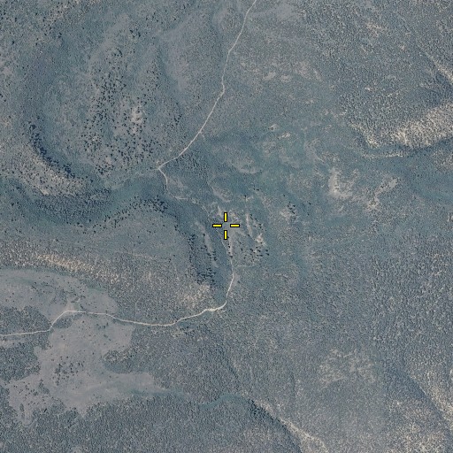 Aerial/Satellite Image of The Lake, CO