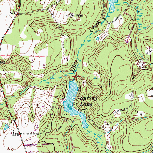 Topographic Map of Spring Lake Dam, TX