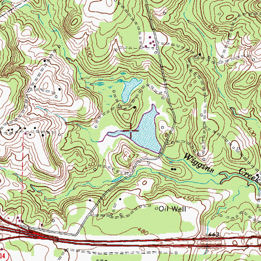 Topographic Map of Brewer Lake, TX