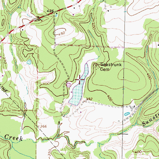 Topographic Map of Pineland Lake, TX
