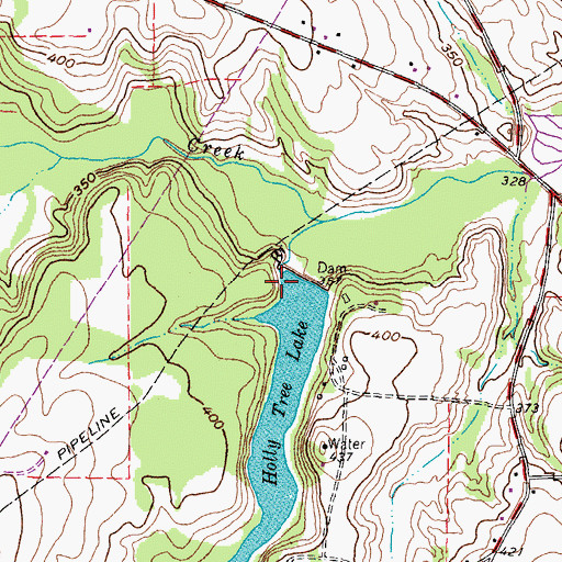 Topographic Map of Holly Tree Dam, TX