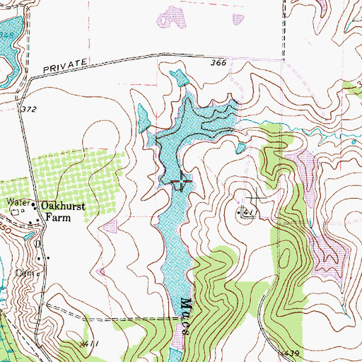 Topographic Map of Macs Creek Lake, TX