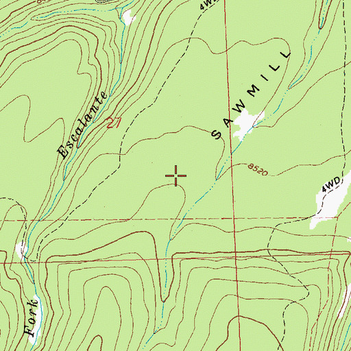 Topographic Map of Sawmill Mesa, CO