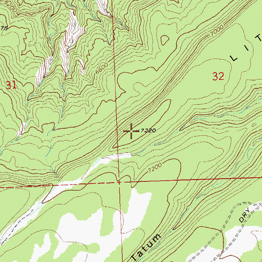 Topographic Map of Little Mesa, CO