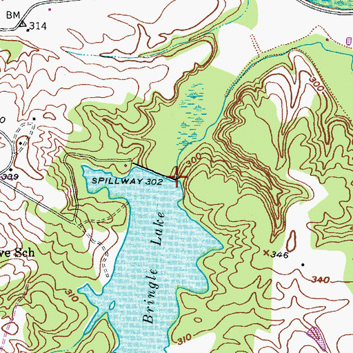 Topographic Map of Bringle Lake Dam, TX