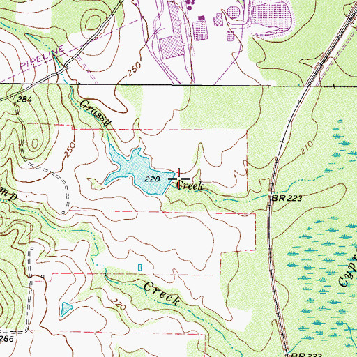 Topographic Map of International Paper Company Dam, TX