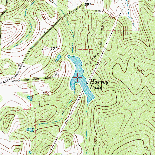 Topographic Map of Harvey Lake, TX