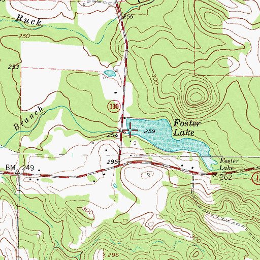 Topographic Map of Foster Lake Dam, TX