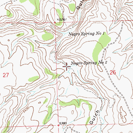 Topographic Map of Negro Spring Number 2, CO