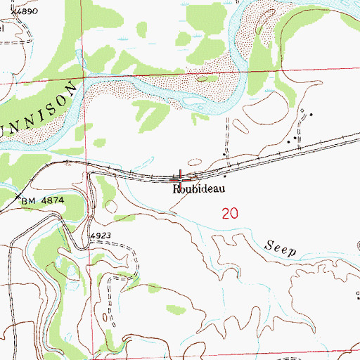 Topographic Map of Roubideau, CO