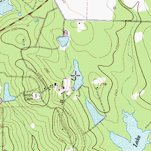 Topographic Map of Saron Lake Number 3, TX