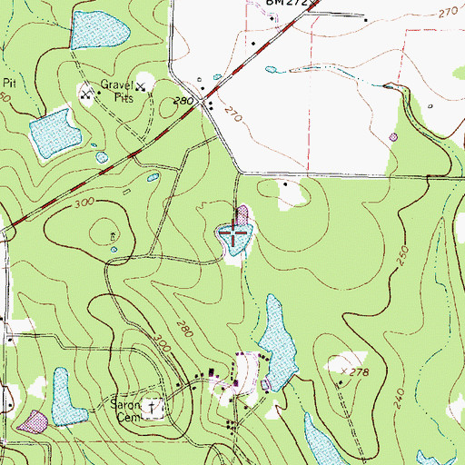 Topographic Map of Saron Lake Number 4, TX