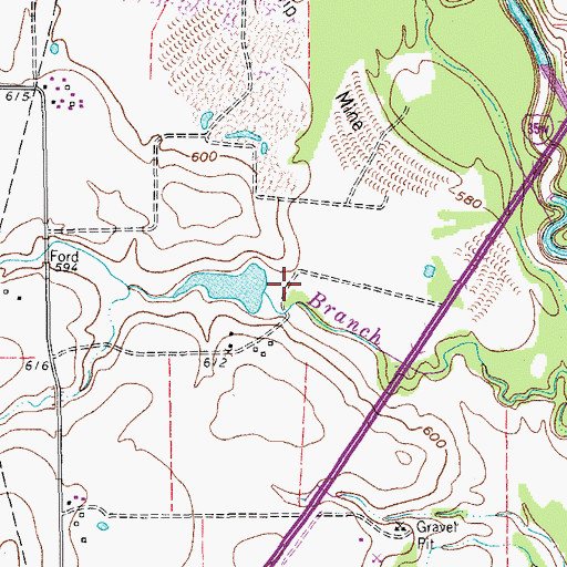 Topographic Map of Buchannan Lake, TX