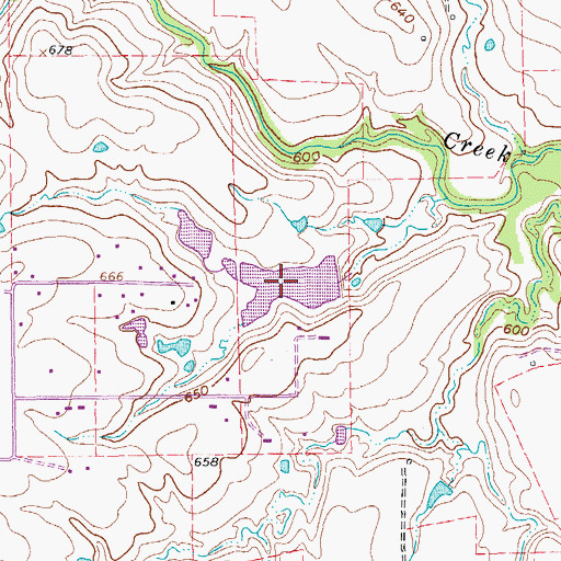 Topographic Map of Tedrow Lake, TX
